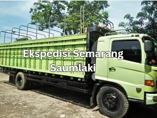 Jasa Ekspedisi Semarang Saumlaki – Murah, Cepat & Terpercaya