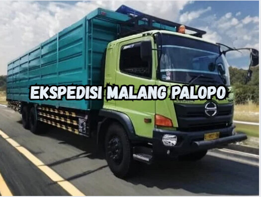 Jasa Ekspedisi Malang Palopo – Murah, Cepat & Terpercaya