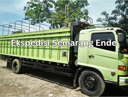 Jasa Ekspedisi Semarang Ende – Murah, Cepat & Terpercaya