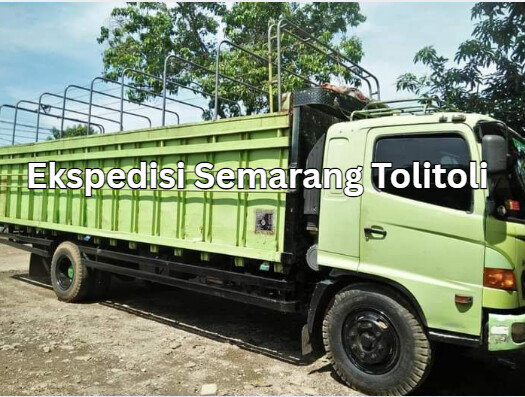 Jasa Ekspedisi Semarang Tolitoli – Murah, Cepat & Terpercaya