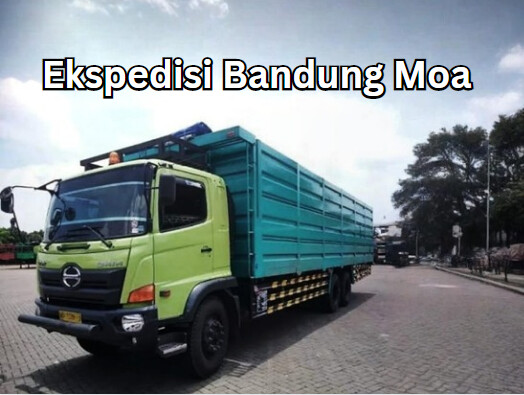 Jasa Ekspedisi Bandung Moa – Murah, Cepat & Terpercaya